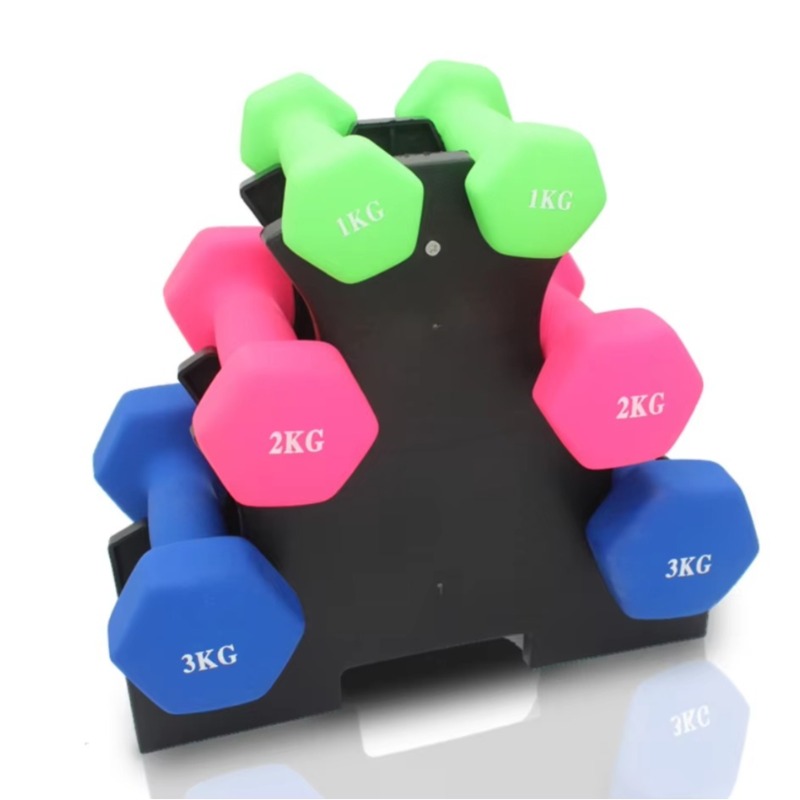 3-Tier  Dumbbell Storage Rack  - Home Gym Weight 리뷰 및 가격