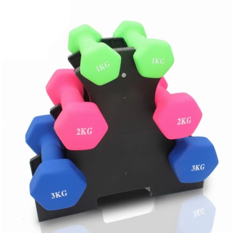 3-Tier  Dumbbell Storage Rack  - Home Gym Weight 리뷰 및 가격