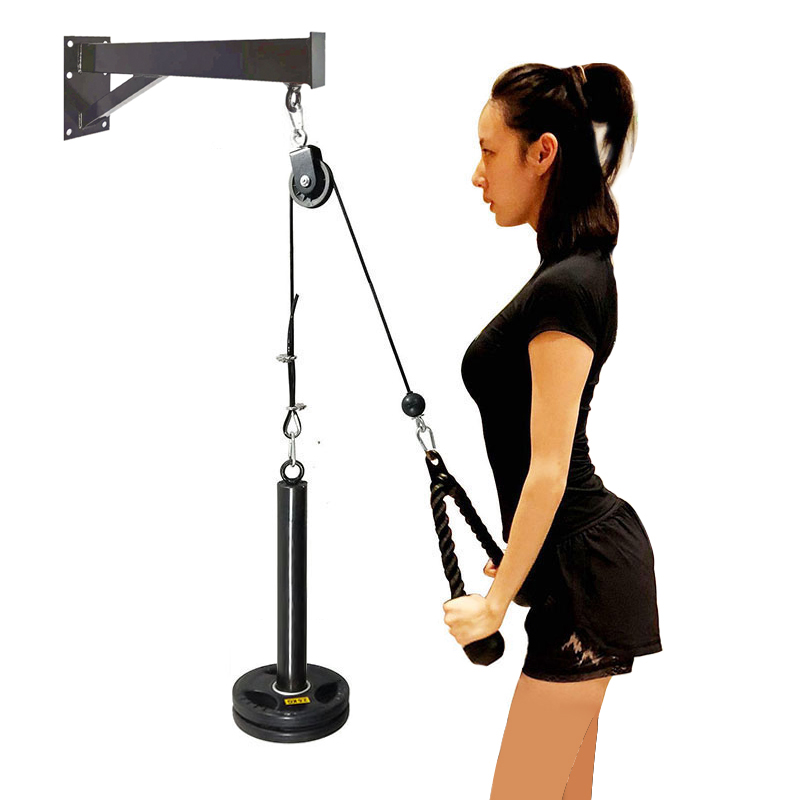 Gym Wall Mounted Fitness DIY P - Home Gym On Wall 리뷰 및 가격