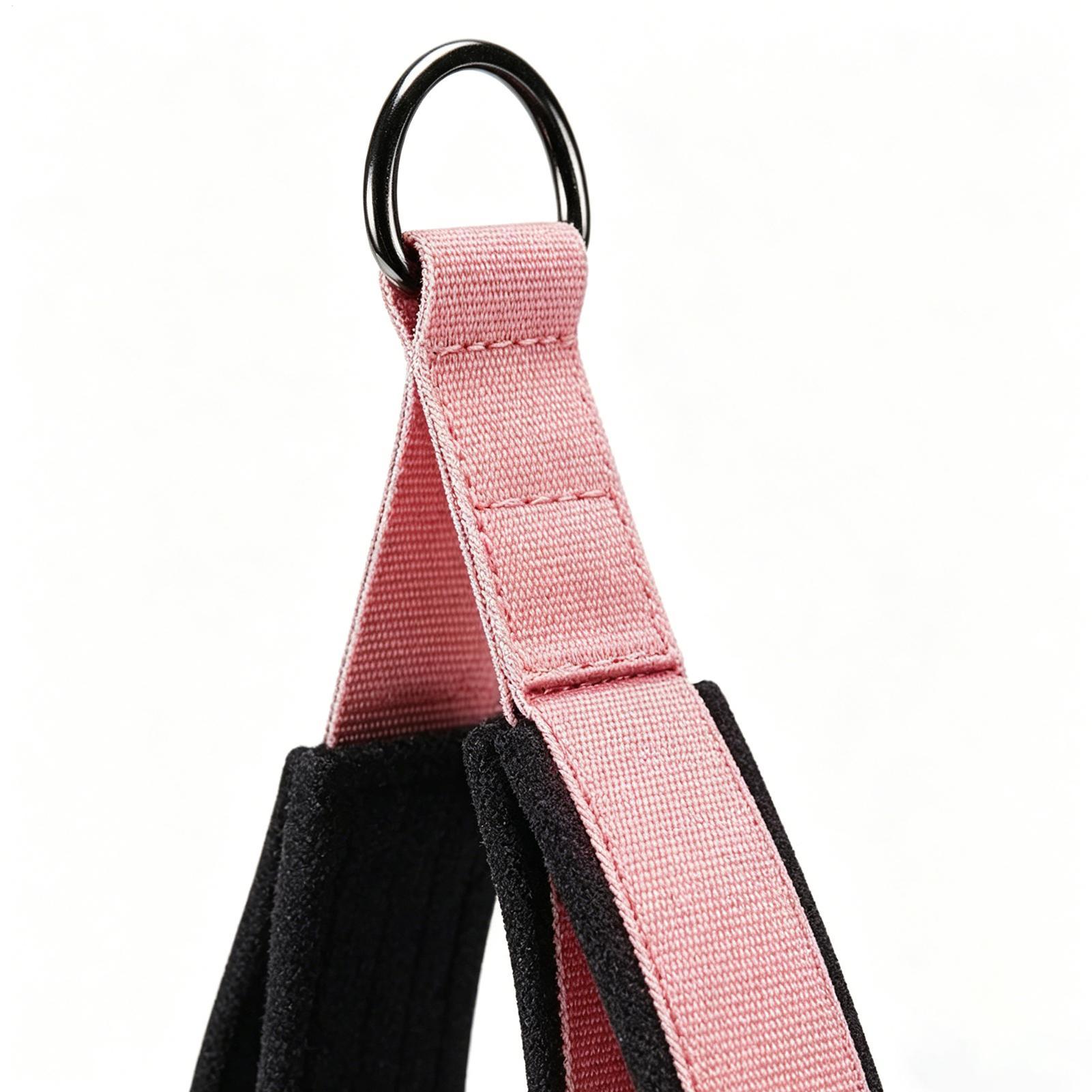 Pilates Straps D-Ring 2 Pieces - Home Gym Routine 리뷰 및 가격