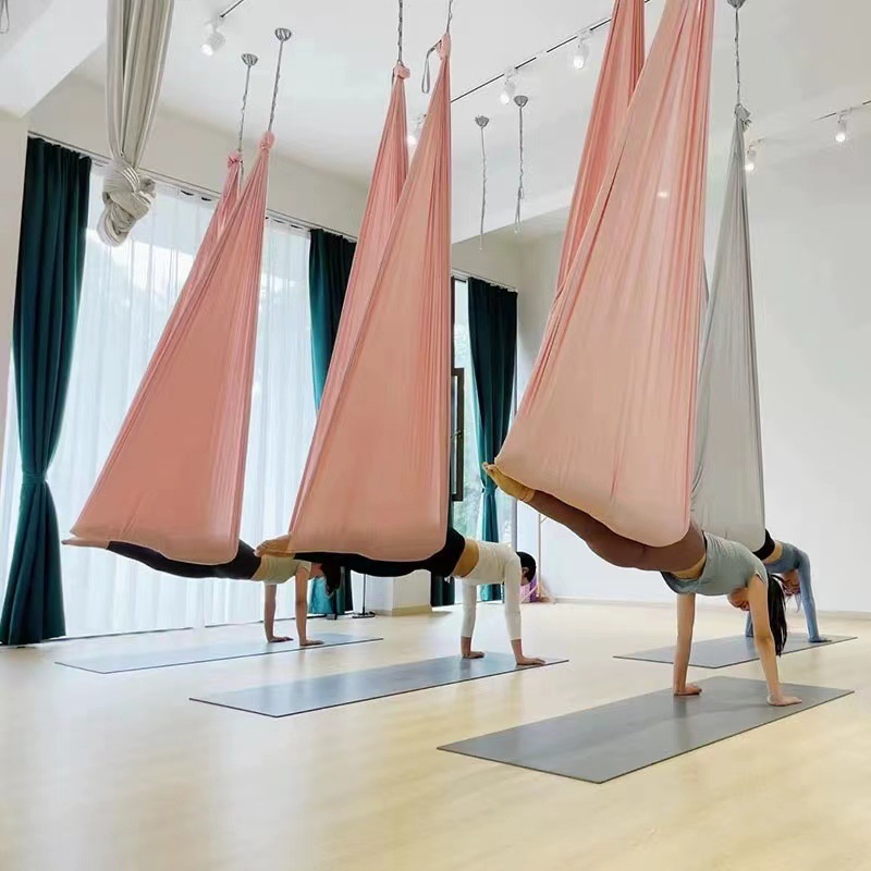 Aerial Yoga Hammock Swing for  - Home Gym Yoga Studio 리뷰 및 가격