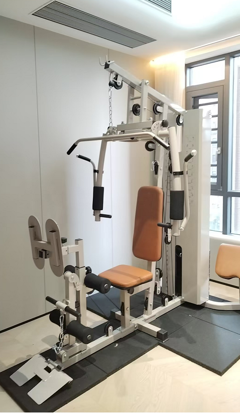 All-In-One Multi-Function Home - Home Gym Weight 리뷰 및 가격