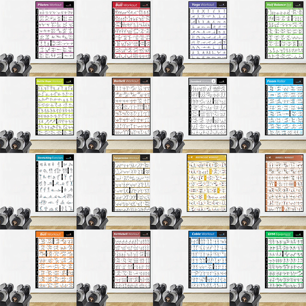 Gym Yoga Studio Workout Detail - Home Gym Yoga Studio 리뷰 및 가격