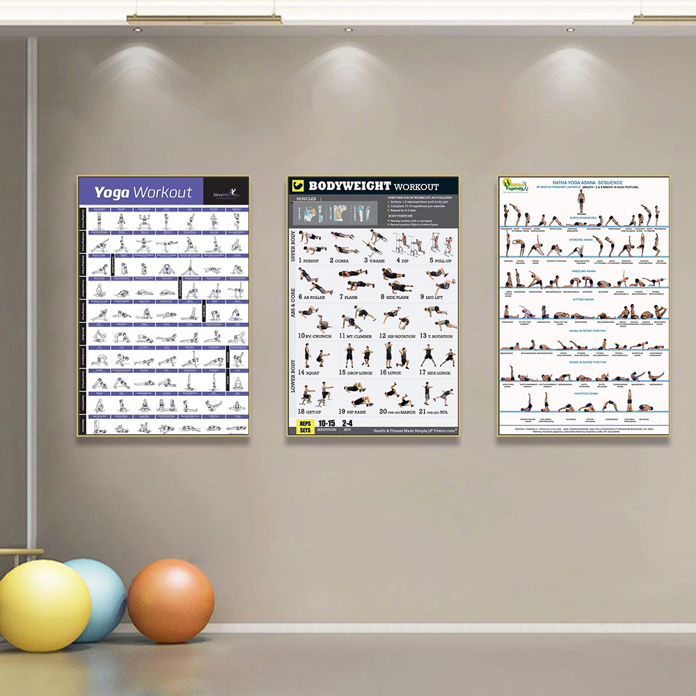 Gym Yoga Studio Workout Detail - Home Gym Yoga Studio 리뷰 및 가격
