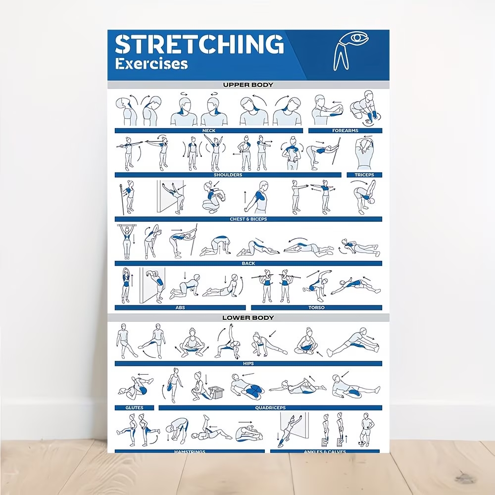 Modern Labeled Full-Body Stret - Home Gym On Wall 리뷰 및 가격