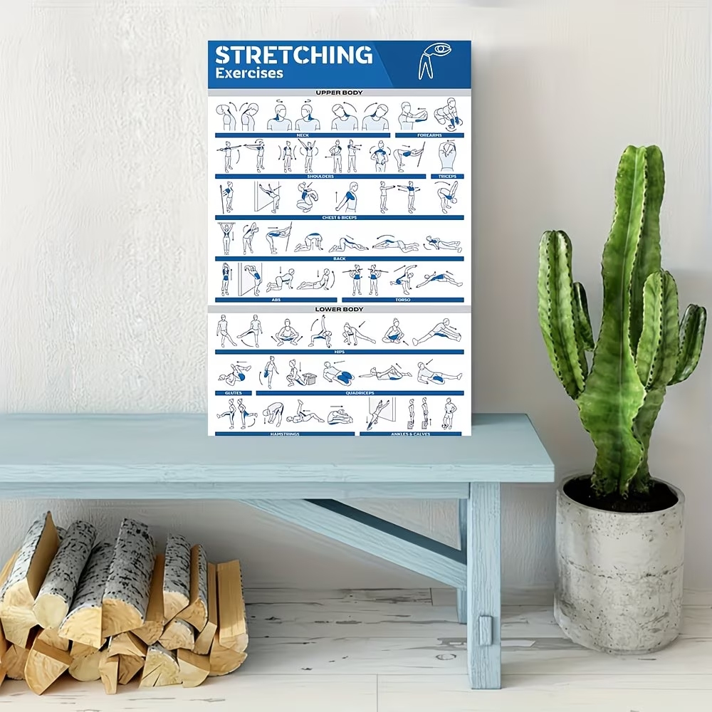 Modern Labeled Full-Body Stret - Home Gym On Wall 리뷰 및 가격