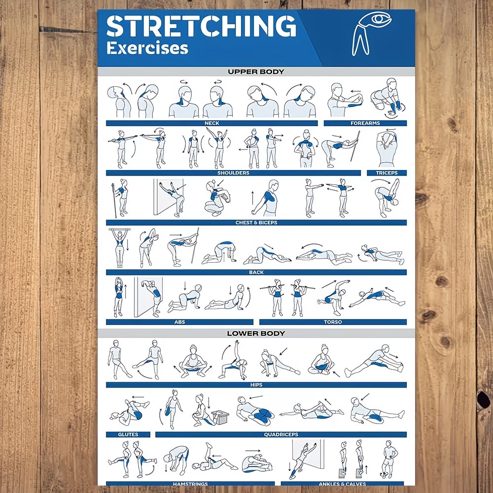 Modern Labeled Full-Body Stret - Home Gym On Wall 리뷰 및 가격