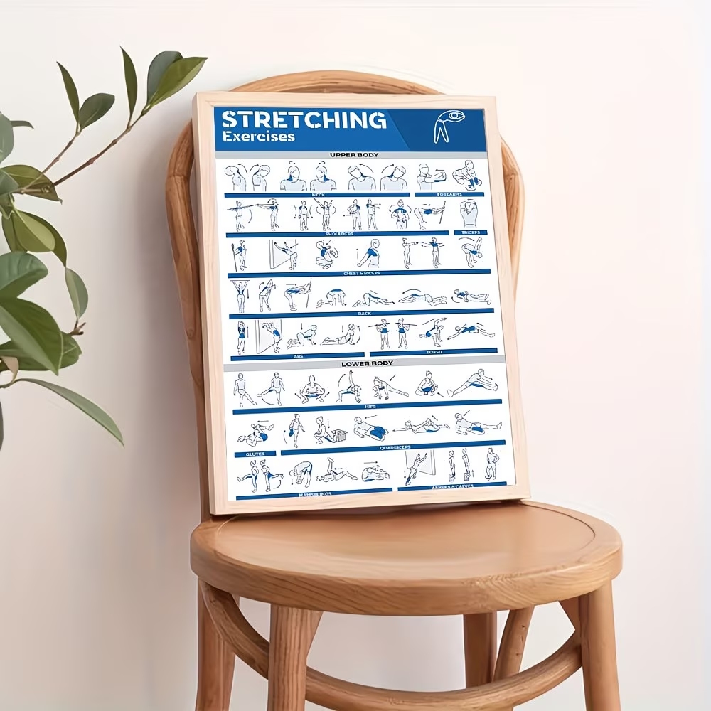 Modern Labeled Full-Body Stret - Home Gym On Wall 리뷰 및 가격